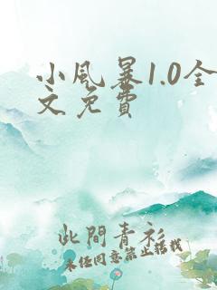 小风暴1.0全文免费