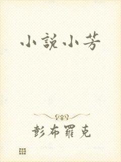 小说小芳