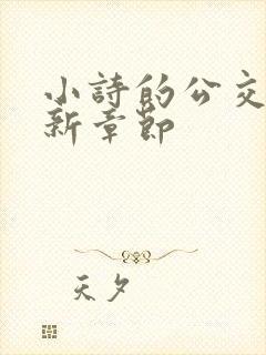 小诗的公交车最新章节