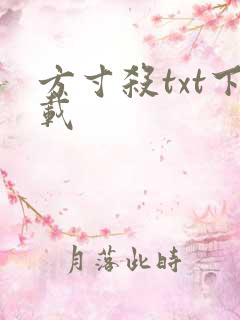 方寸杀txt下载