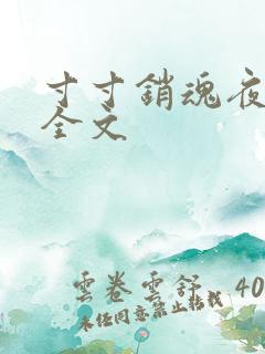 寸寸销魂夜春光全文