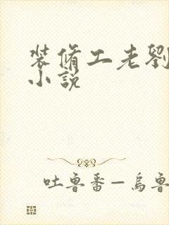 装修工老刘林雪小说