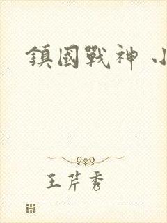 镇国战神 小说