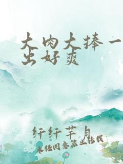 大肉大捧一进一出好爽