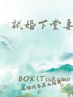 试婚下堂妻