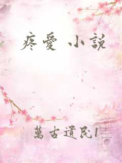 疼爱 小说