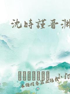 沈时谨晋渊小说