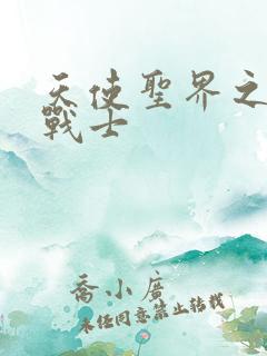 天使圣界之神之战士