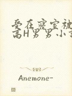 受在寝室被多攻高H男男小说