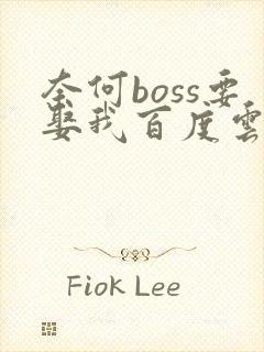 奈何boss要娶我百度云