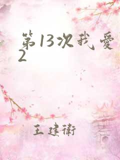 第13次我爱你2