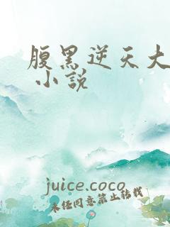 腹黑逆天大小姐 小说