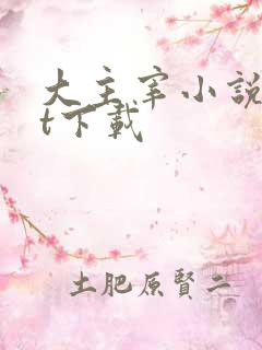 大主宰小说txt下载