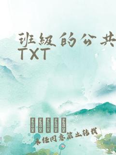 班级的公共玩具TXT