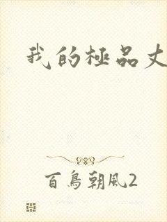 我的极品丈母娘