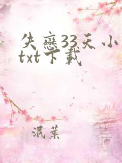 失恋33天小说txt下载