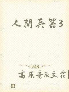人间兵器3