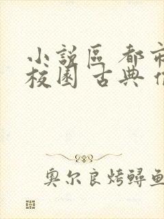 小说区 都市 校园 古典 偷拍