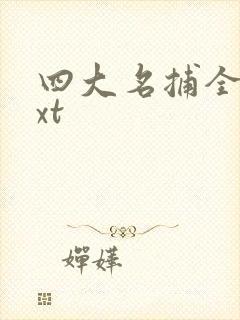 四大名捕全集txt