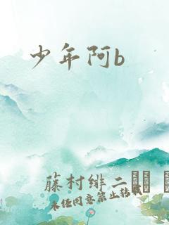 少年阿b