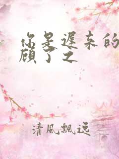 你是迟来的欢喜顾了之