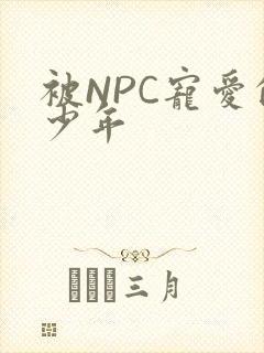 被NPC宠爱的少年