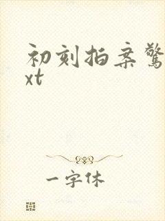 初刻拍案惊奇txt