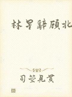 林星辞顾北彦