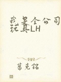 我是全公司发泄玩具LH
