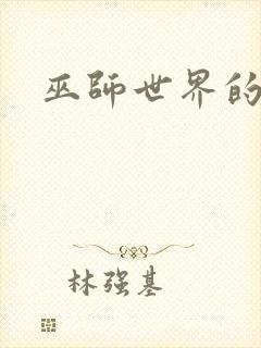 巫师世界的法师