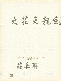 火花天龙剑