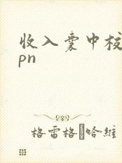 收入囊中校园hpn