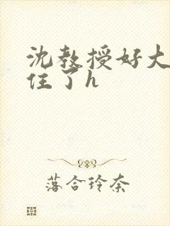 沈教授好大含不住了h