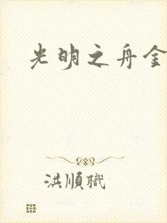 光明之舟金手指