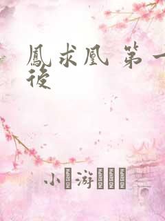 凤求凰 第一皇后