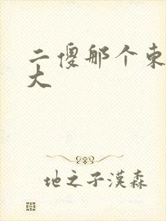 二傻那个东西真大