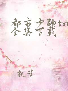 都市少帅txt全集下载