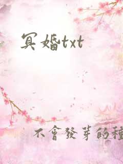 冥婚txt
