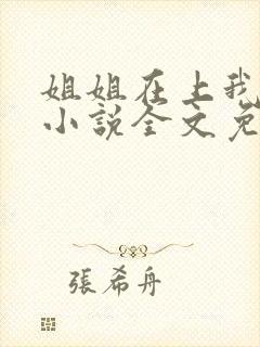 姐姐在上我在下小说全文免费阅读