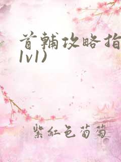 首辅攻略指南(1v1)