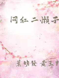 网红二懒子车祸