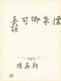 秦可卿朱怀镜小说