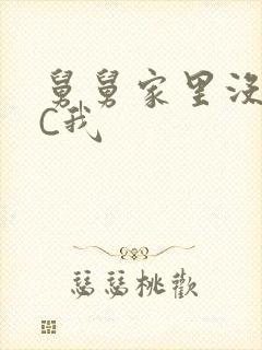 舅舅家里没人快C我