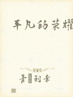 平凡的荣耀小说