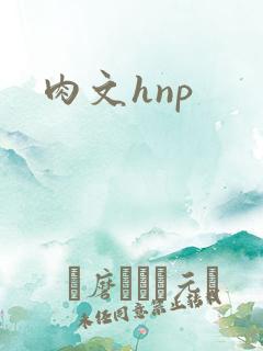 肉文hnp
