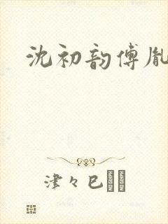 沈初韵傅胤小说