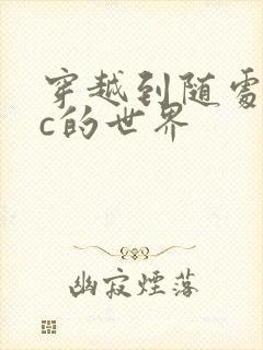 穿越到随处可以c的世界