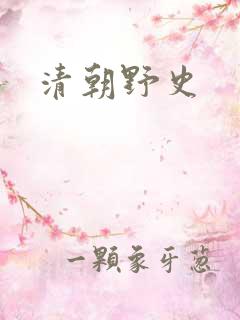 清朝野史