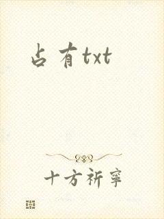 占有txt