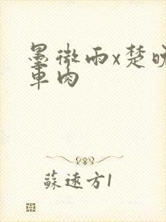 墨微雨x楚晚宁车肉